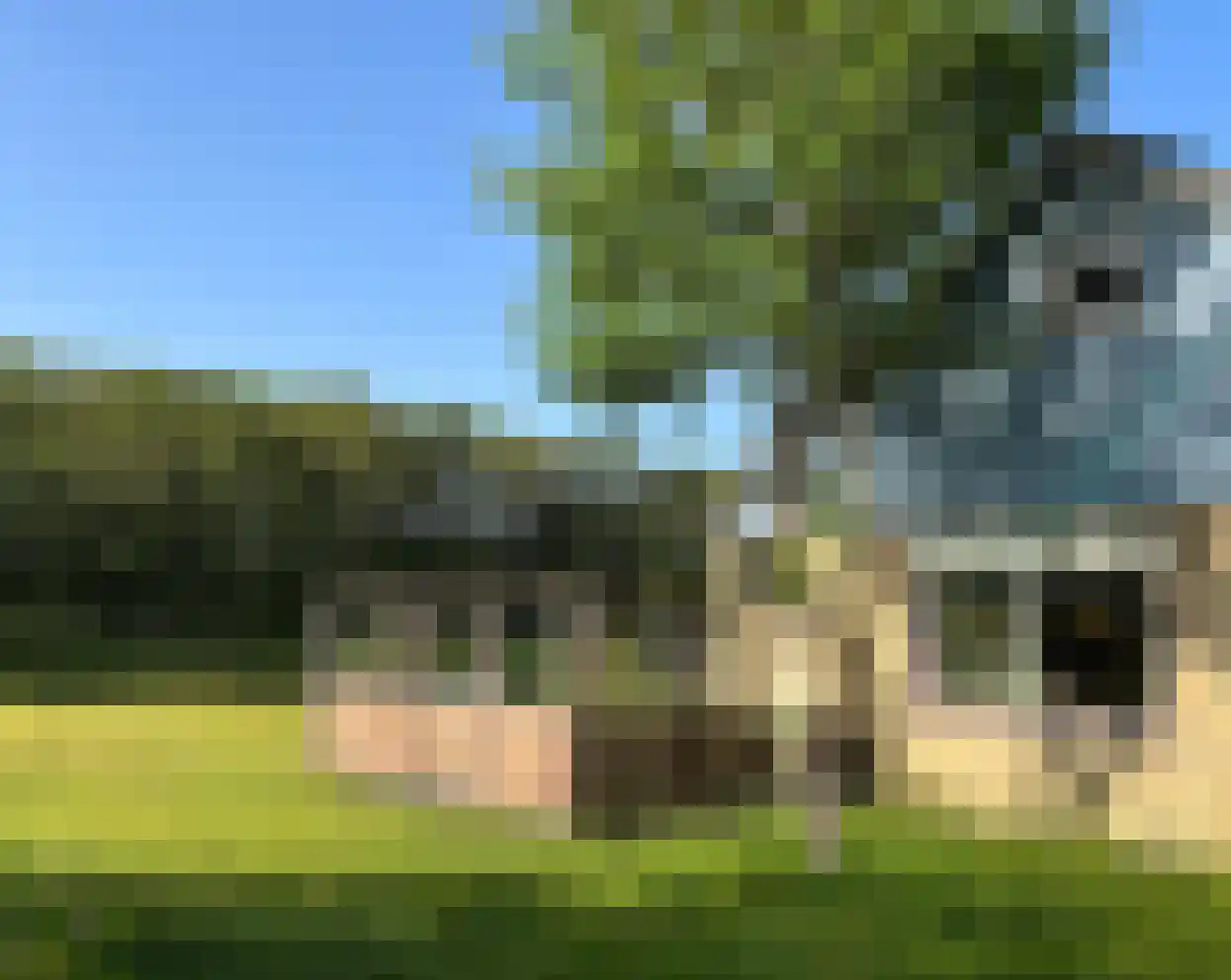 Duinweg Lies 15 Lies thumbnail 4
