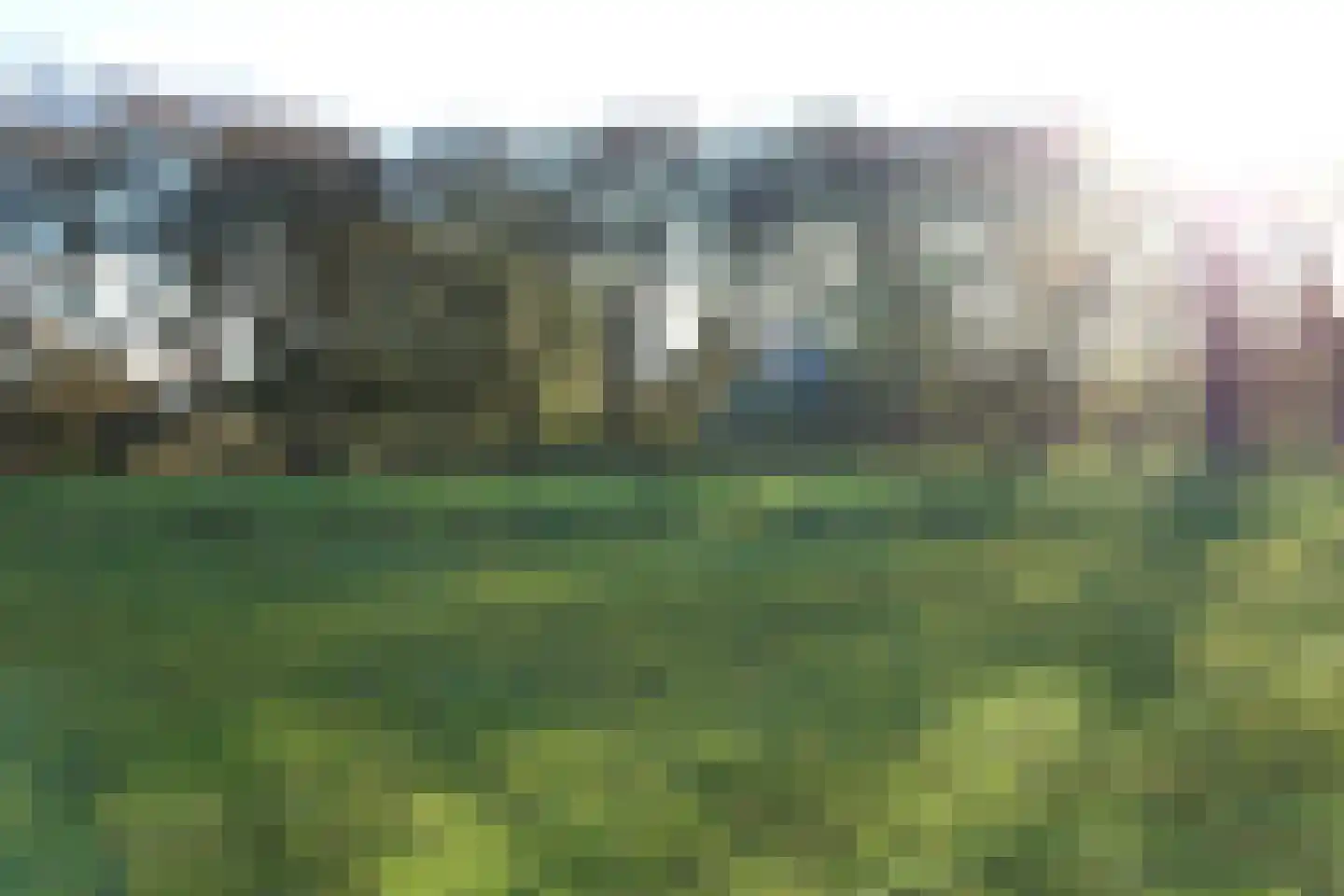 Duinweg Lies 15 Lies thumbnail 4