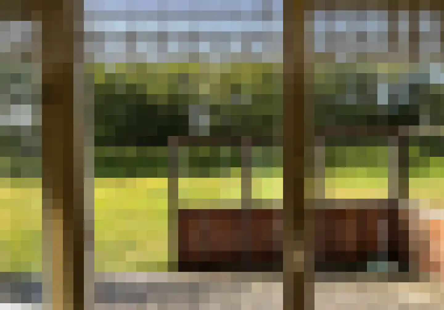 Duinweg Lies 15 Lies thumbnail 5