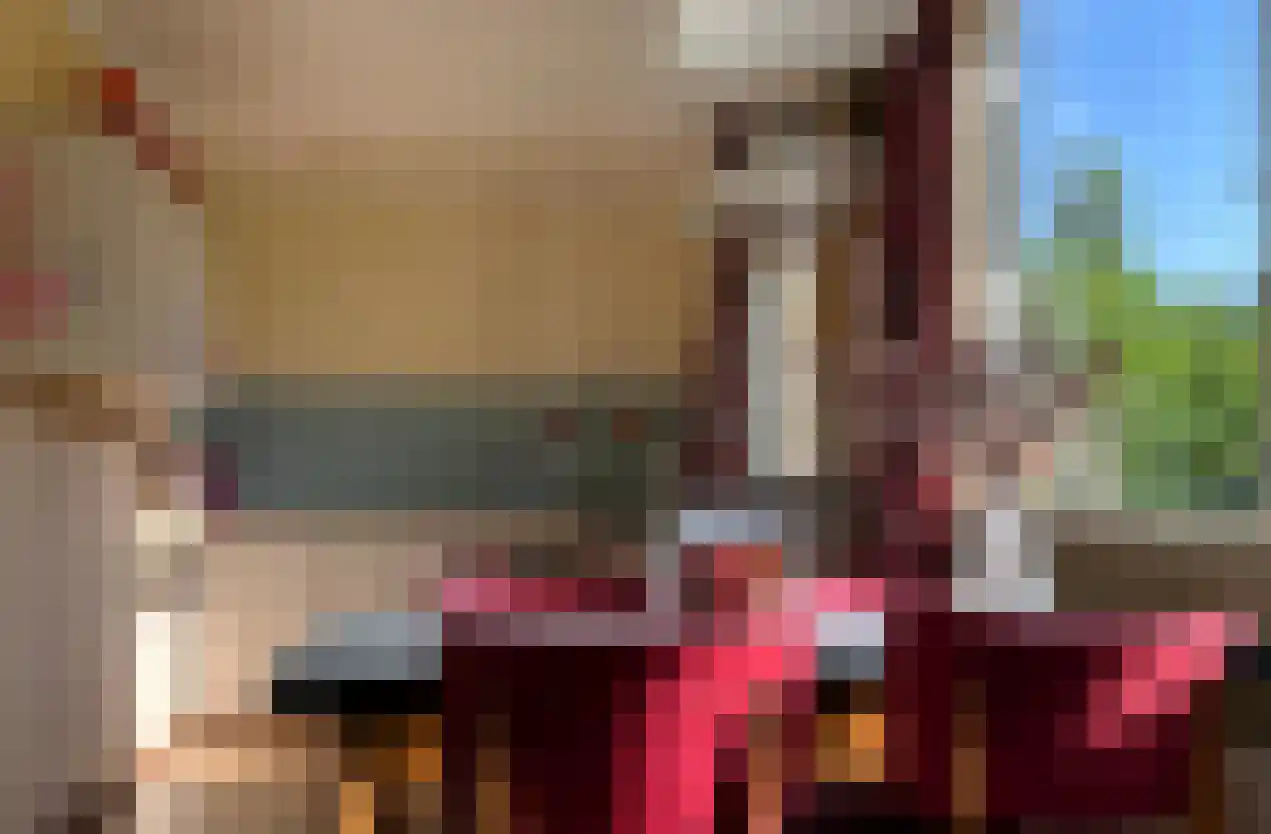 Duinweg Lies 15 Lies thumbnail 7