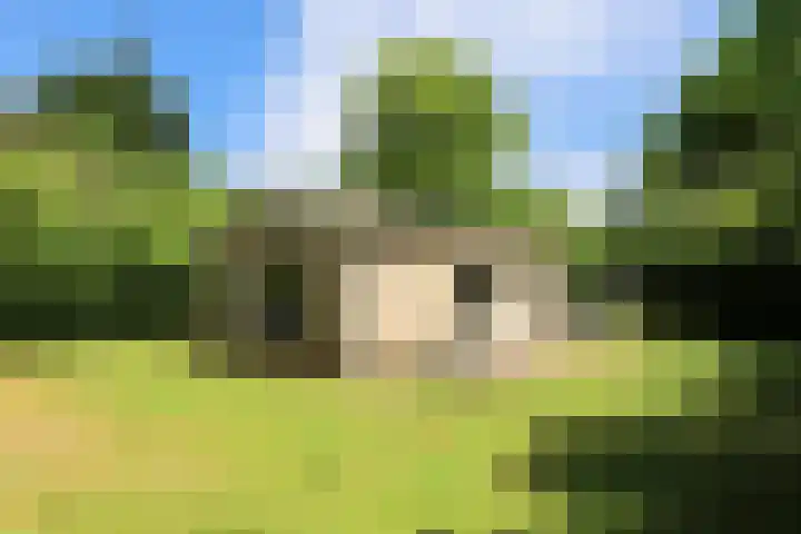 Duinweg Midsland 104 Midsland thumbnail 5