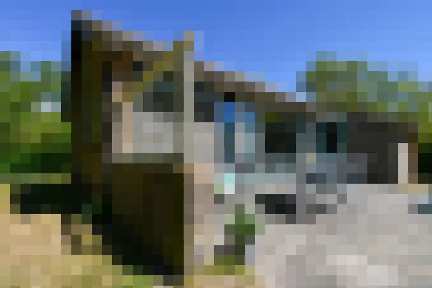 Duinweg Midsland 14 Midsland thumbnail 21