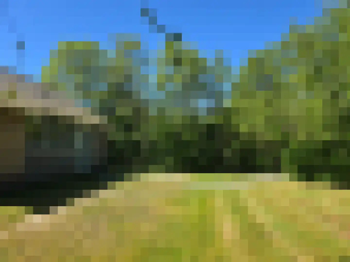 Duinweg Midsland 14 Midsland thumbnail 29