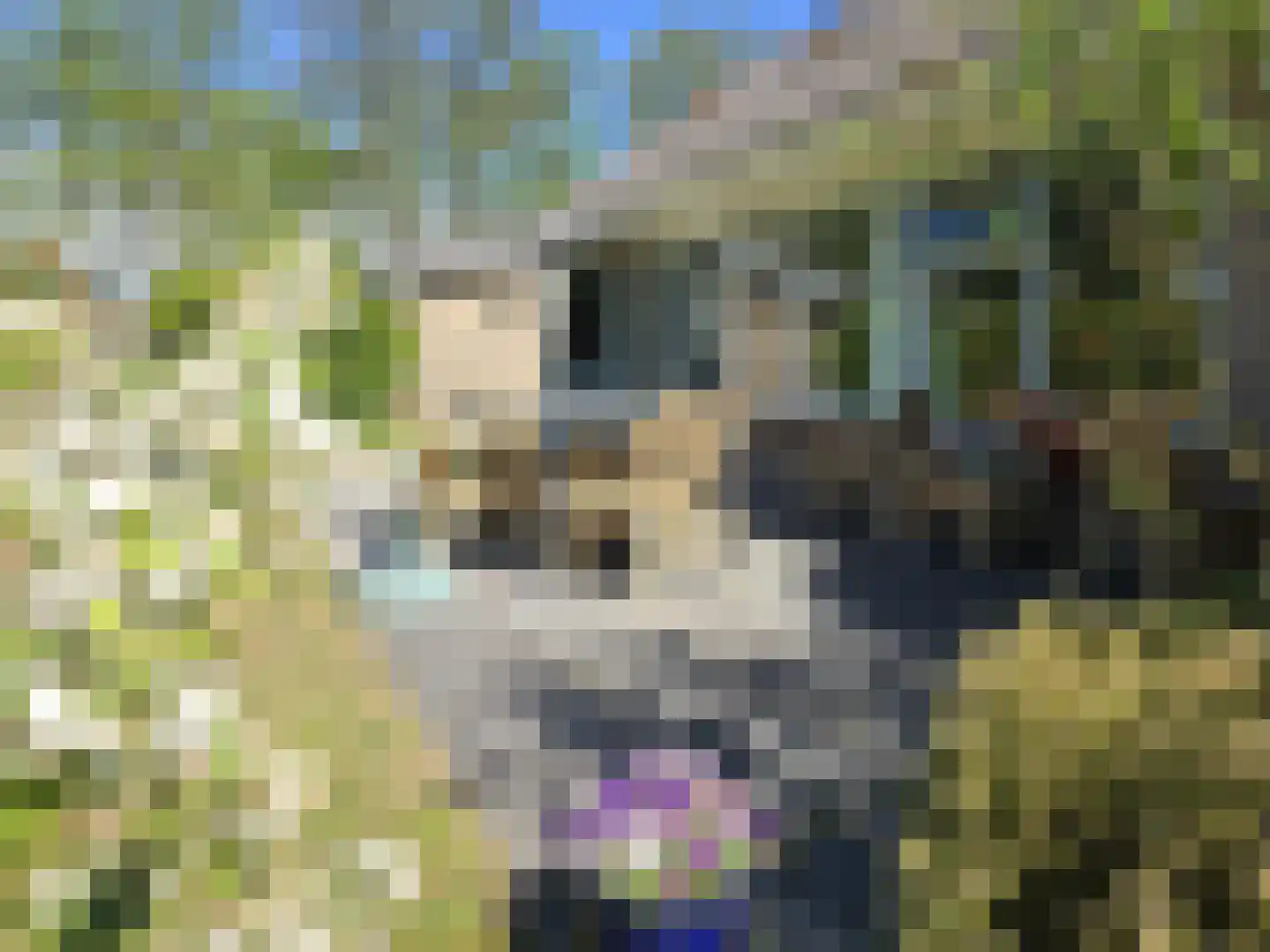 Duinweg Midsland 2 Midsland thumbnail 36