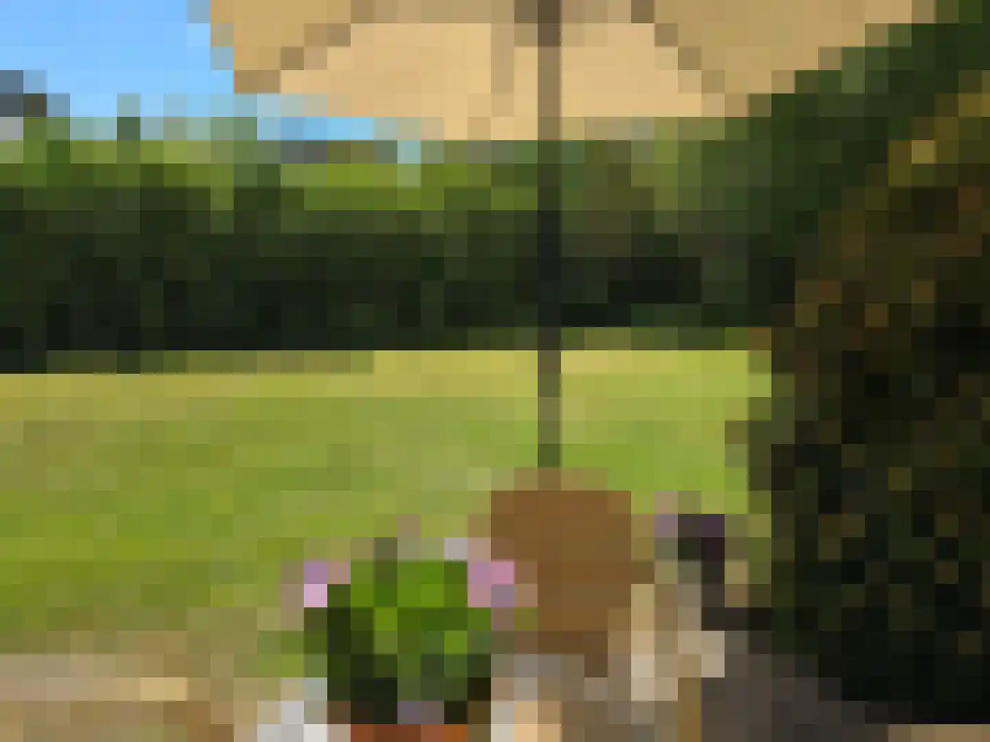 Duinweg Midsland 2 Midsland thumbnail 38