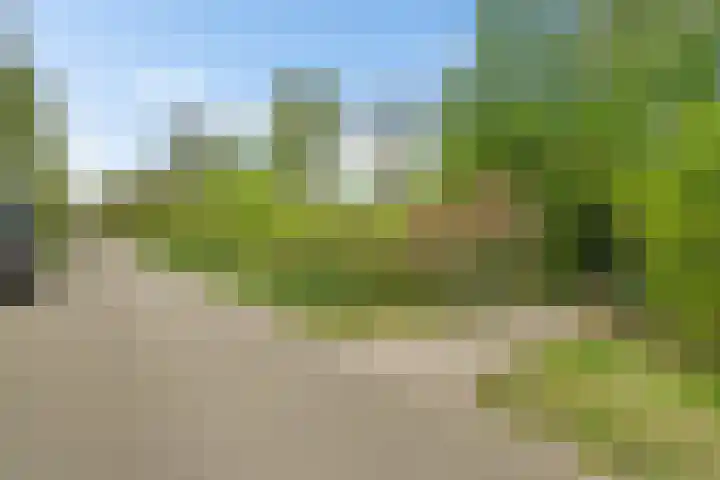 Duinweg Midsland 25 M Midsland thumbnail 9