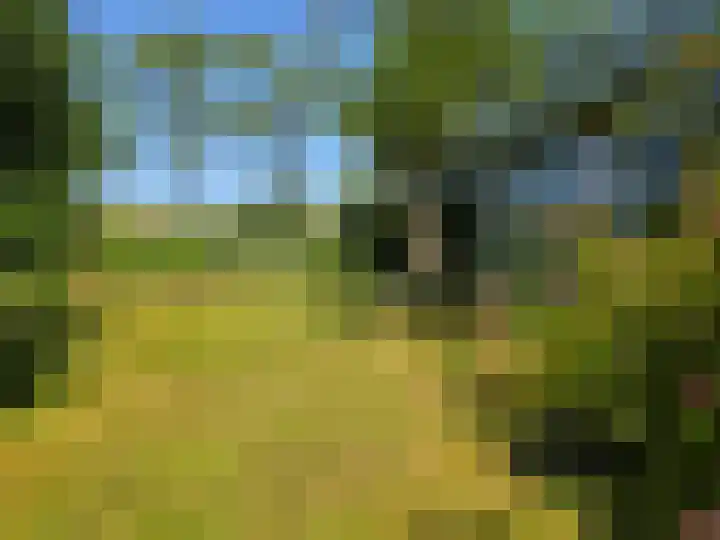 Duinweg Midsland 25 P Midsland thumbnail 12