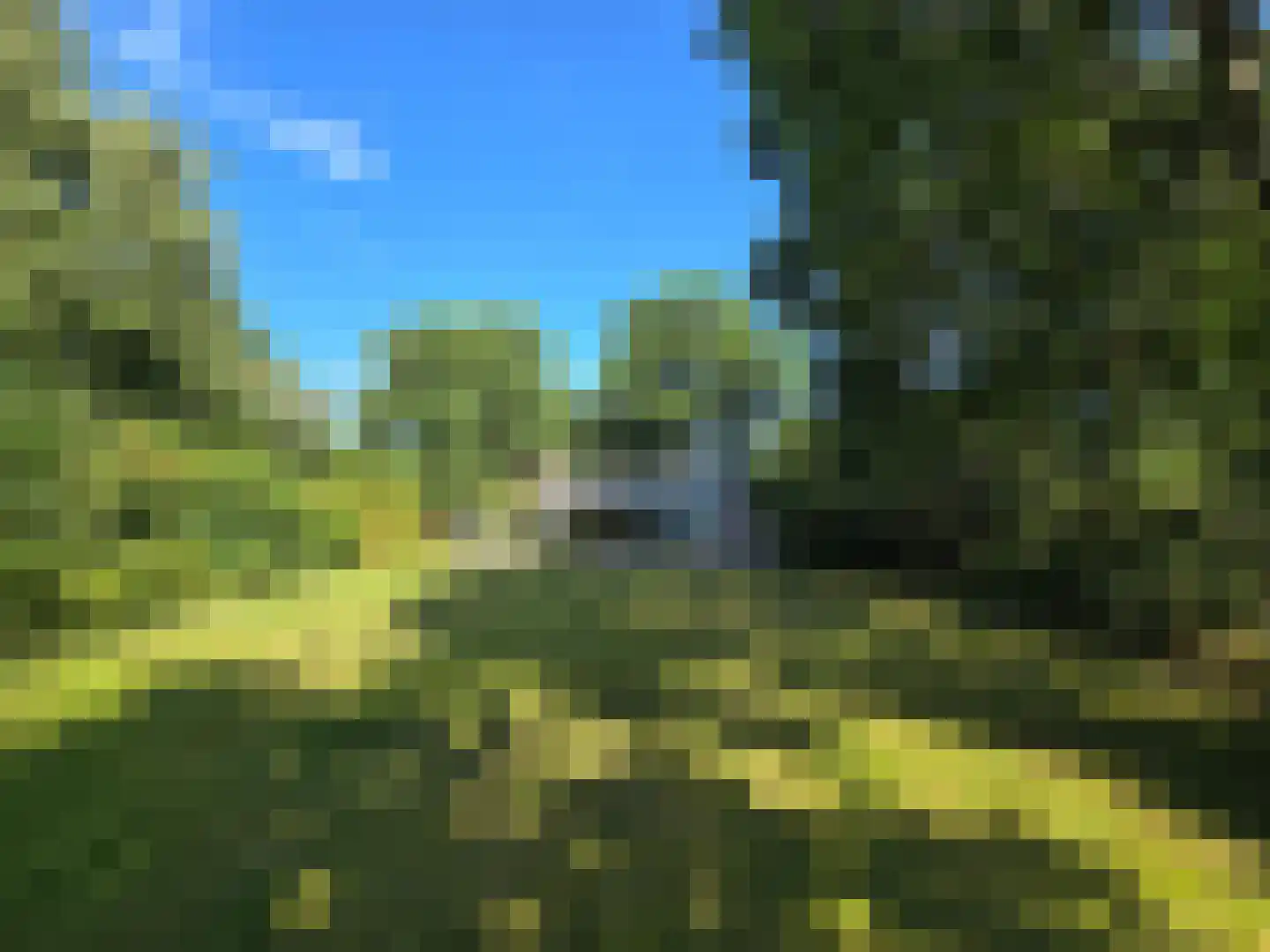 Duinweg Midsland 25 Q Midsland thumbnail 32