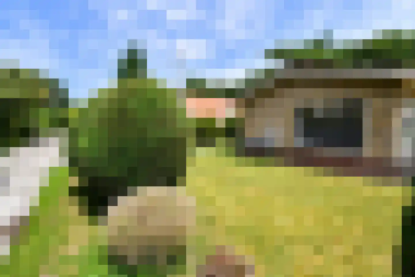 Duinweg Midsland 3 Midsland thumbnail 25
