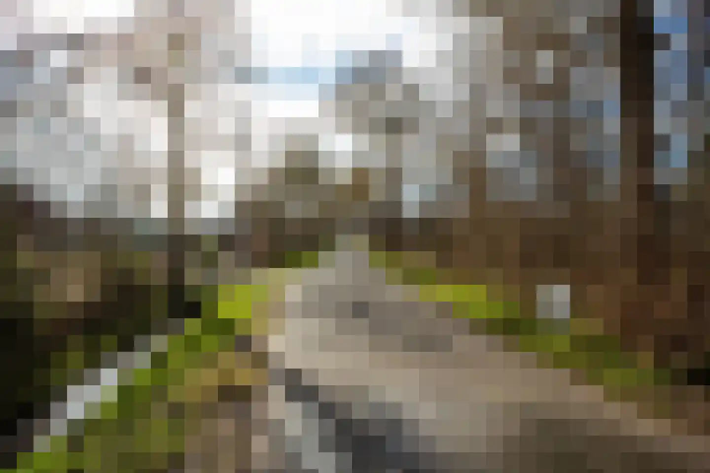 Duinweg Midsland 48 Midsland thumbnail 31