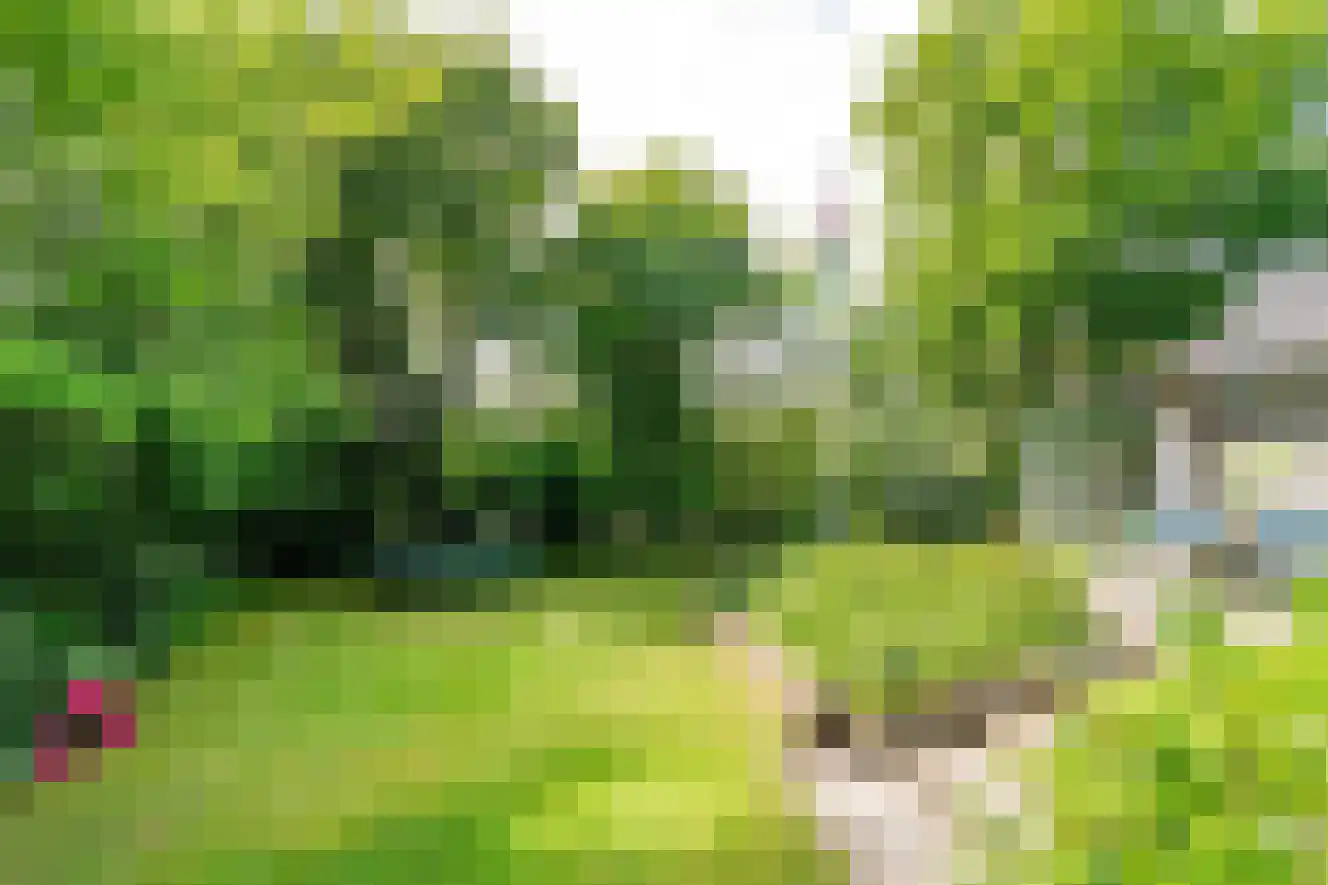 Duinweg Midsland 66 Midsland thumbnail 34