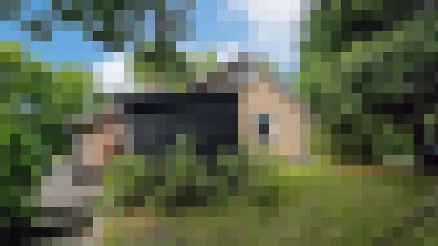 Duinweg Midsland 66 Midsland thumbnail 38