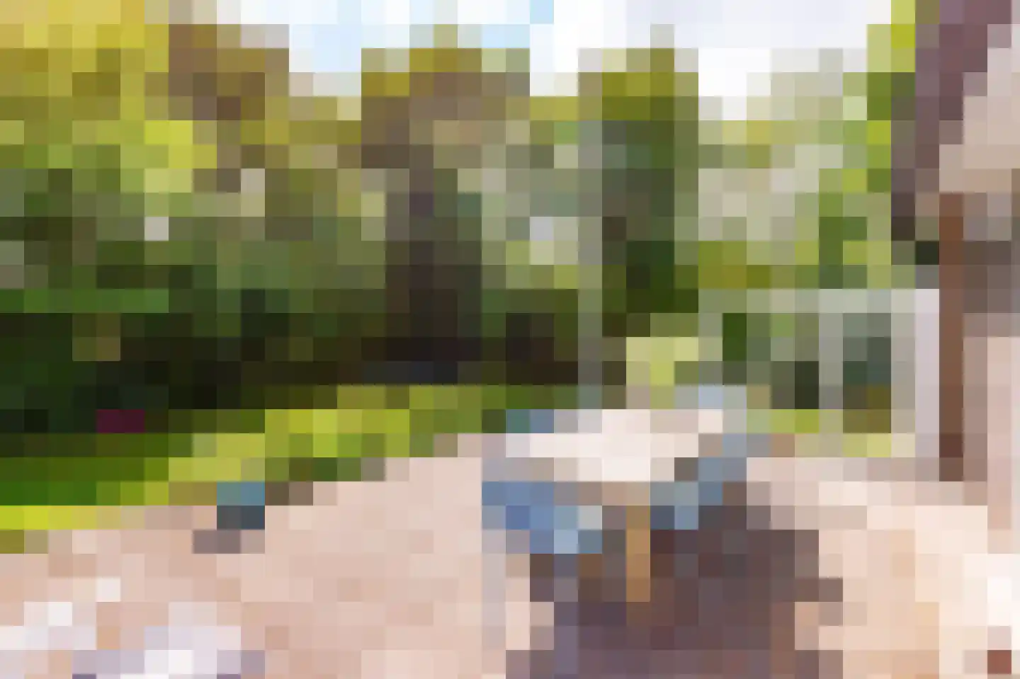 Duinweg Midsland 66 Midsland thumbnail 4
