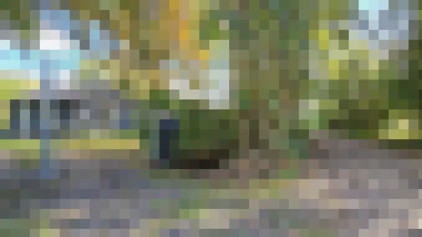 Duinweg Midsland 89 Midsland thumbnail 28