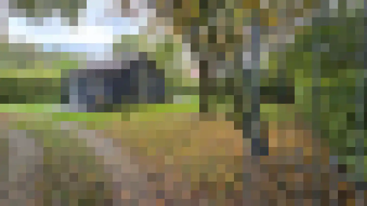 Duinweg Midsland 89 Midsland thumbnail 4