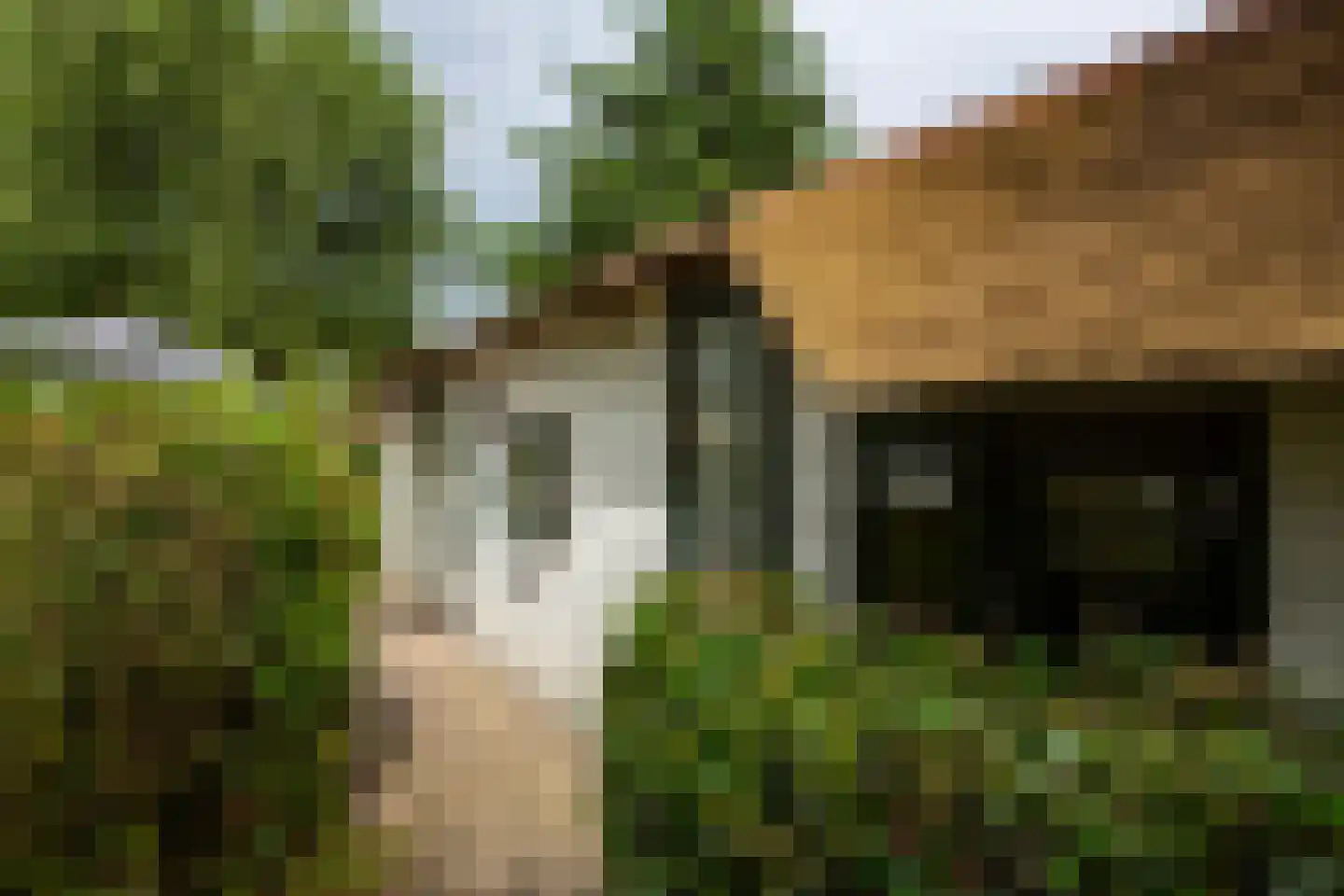 Duinweg Midsland 93 A19 Midsland thumbnail 4