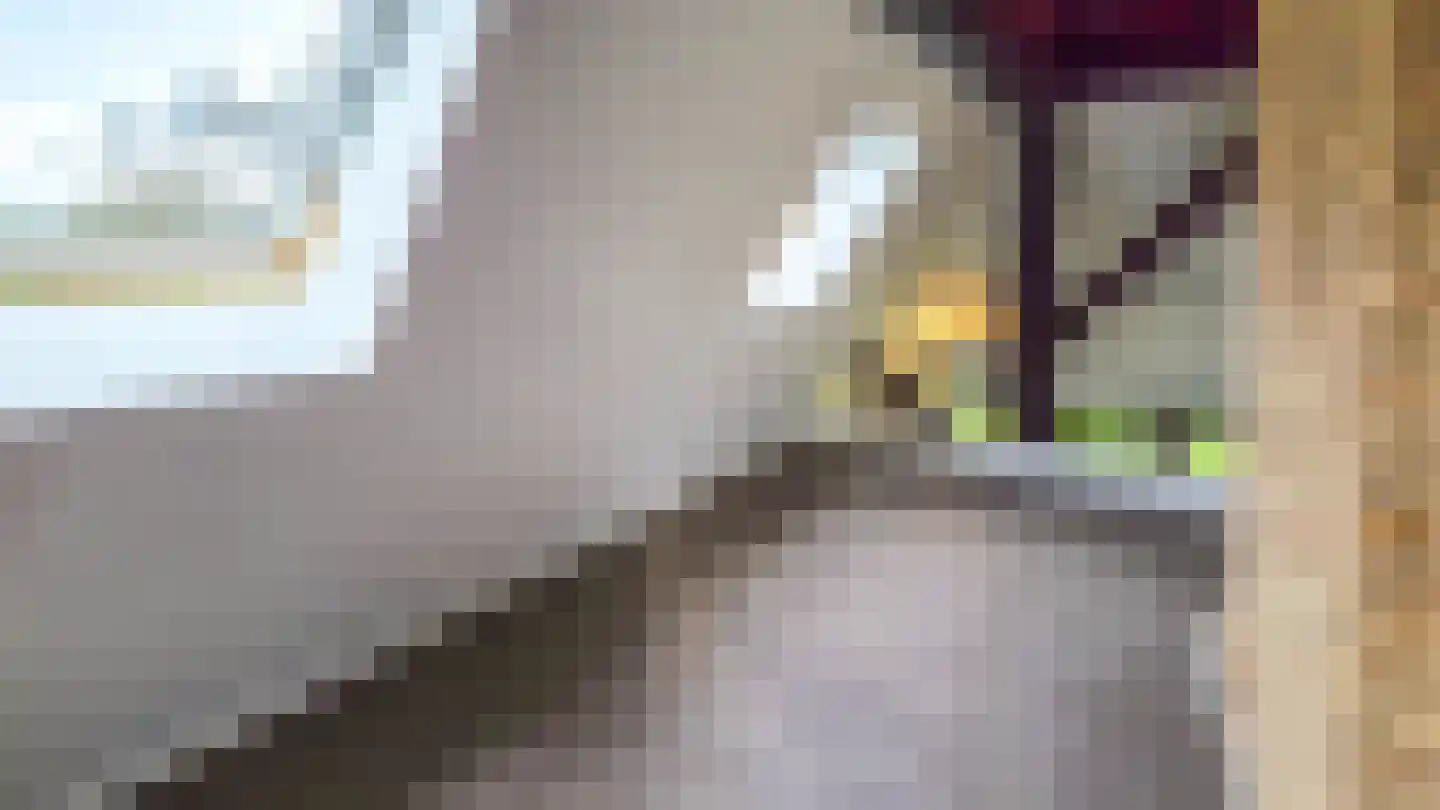 Duinweg Oosterend 12 Oosterend thumbnail 31