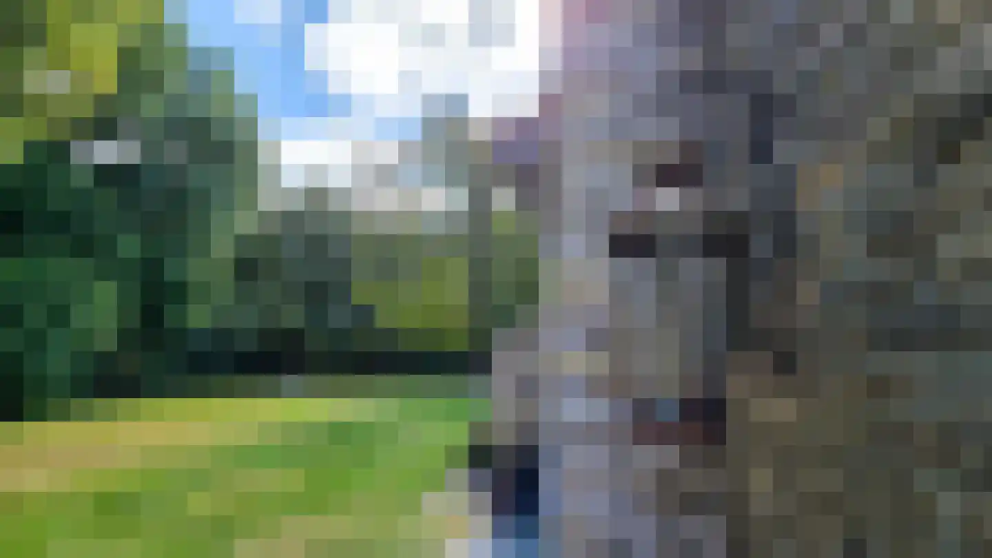 Duinweg Oosterend 12 Oosterend thumbnail 48
