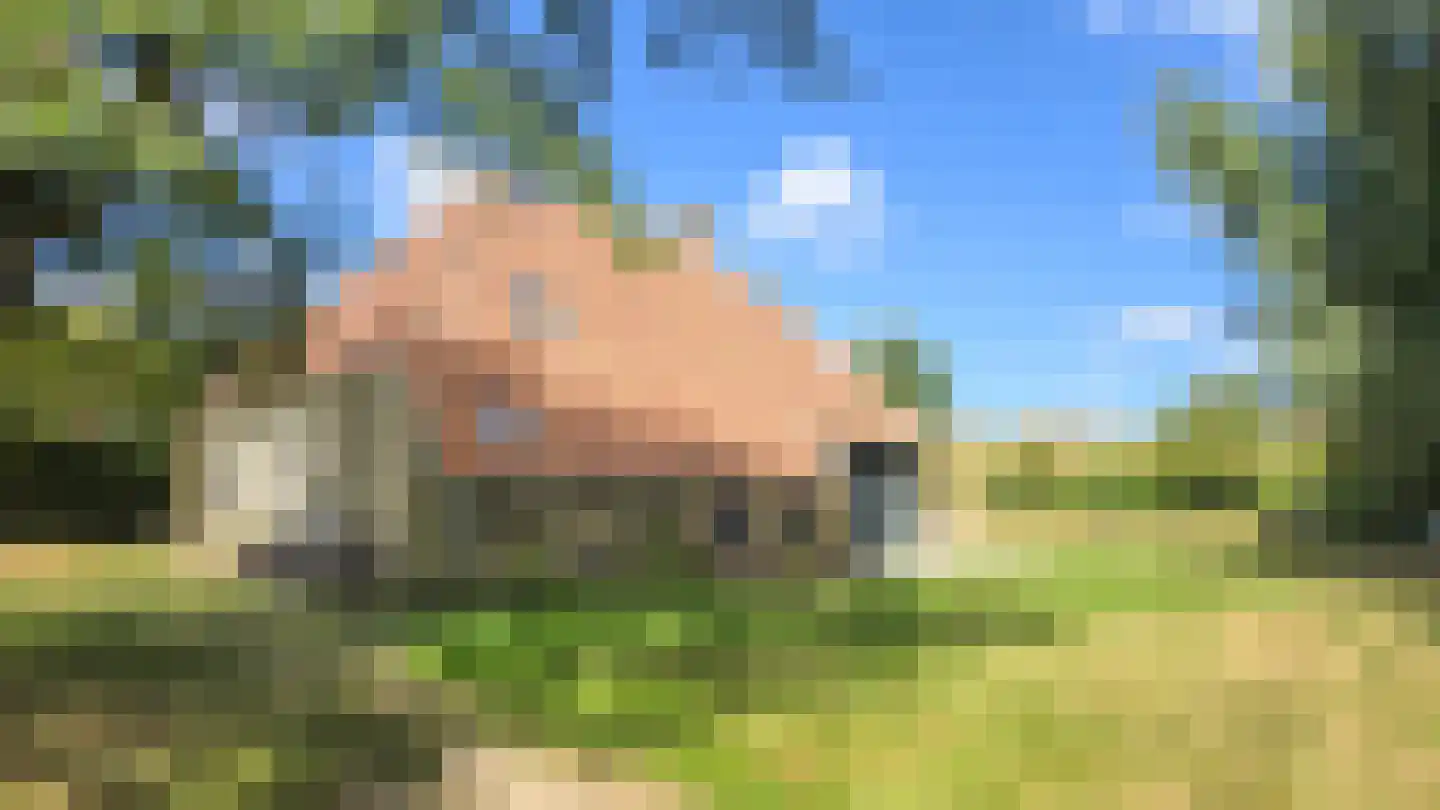 Duinweg Oosterend 12 Oosterend thumbnail 6