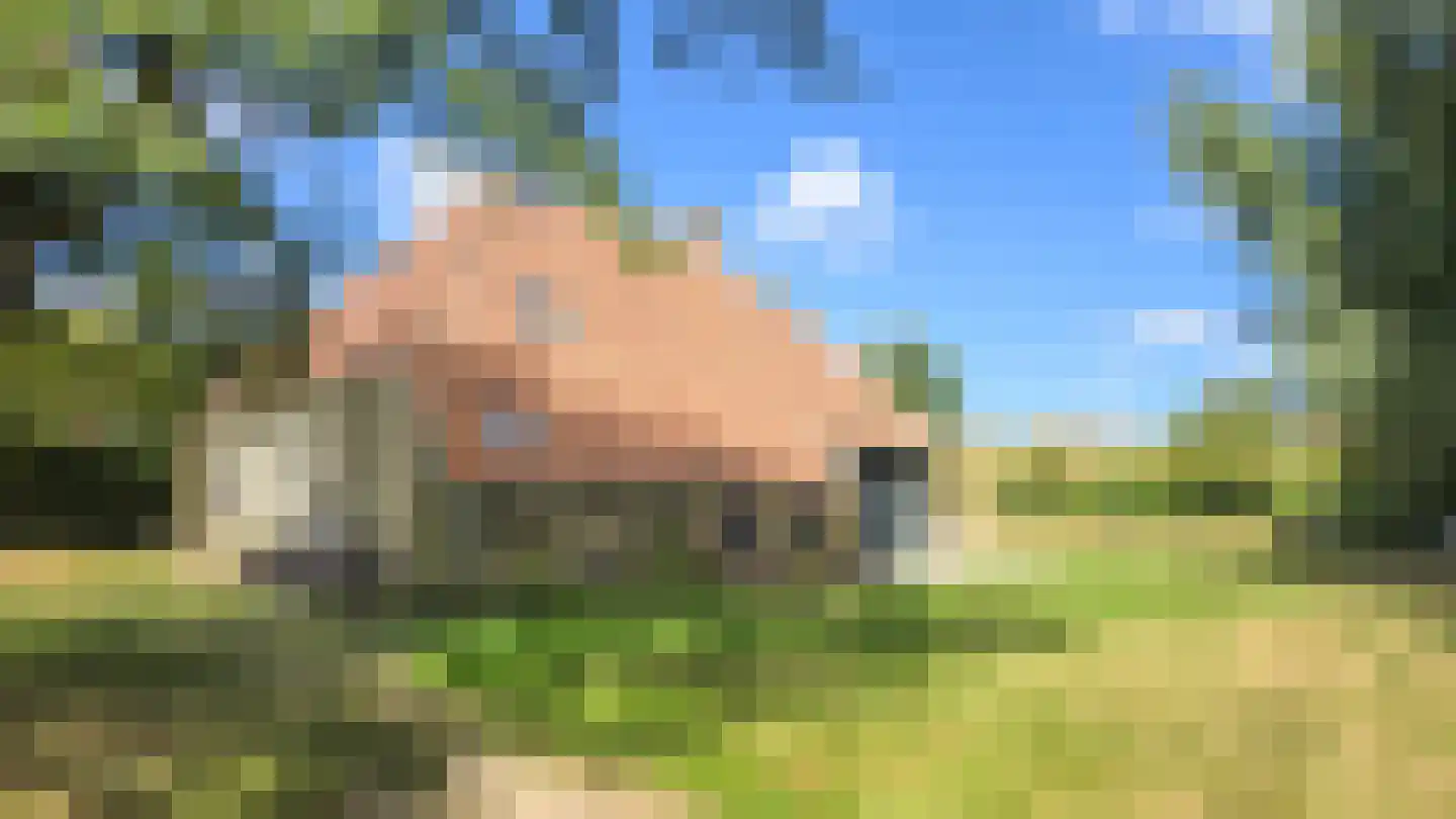 Duinweg Oosterend 12 Oosterend thumbnail 6