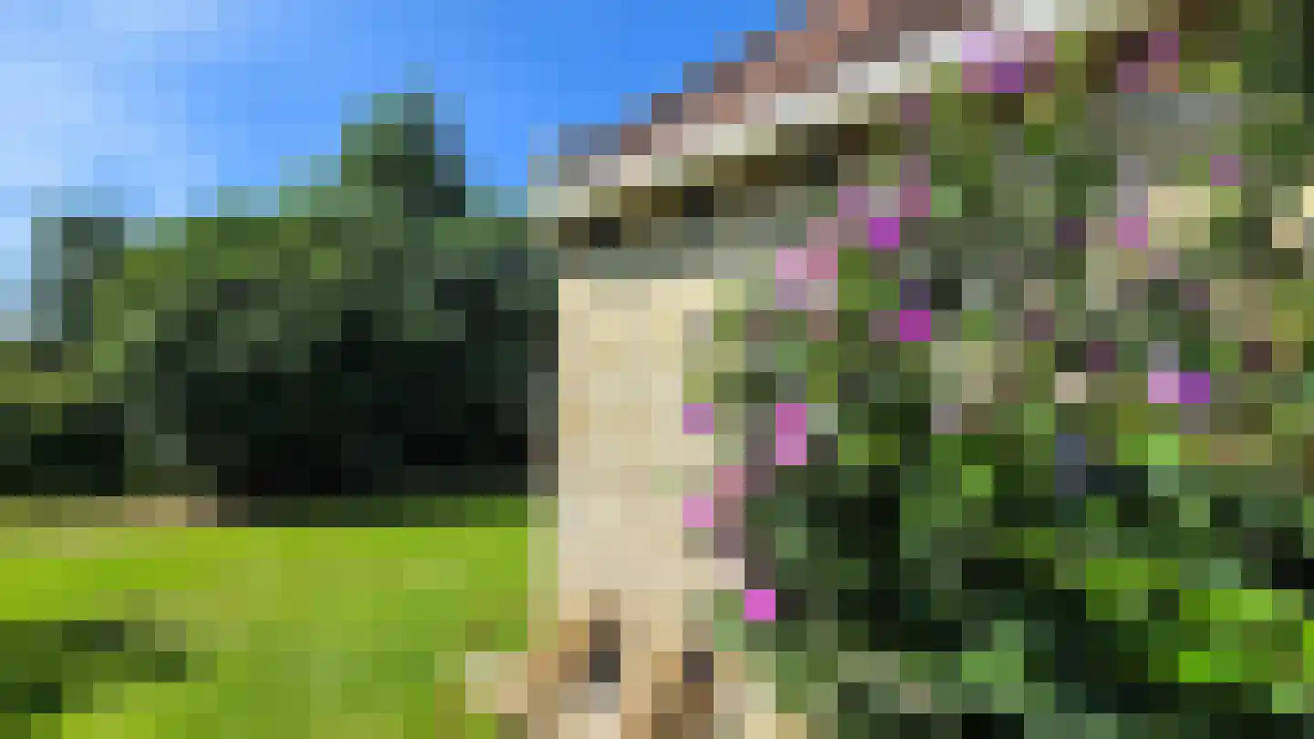 Duinweg Oosterend 6 Oosterend thumbnail 21