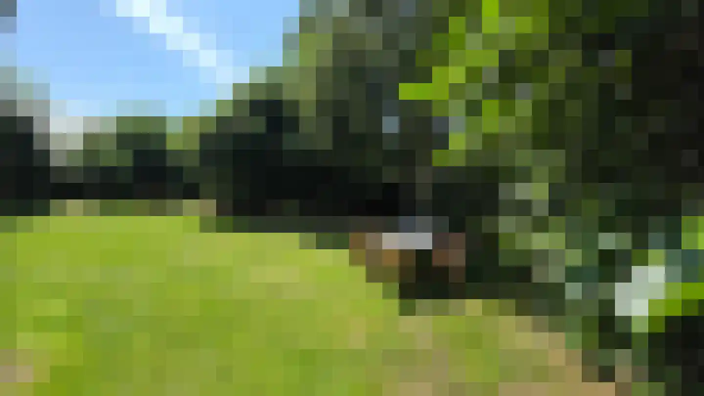 Duinweg Oosterend 6 Oosterend thumbnail 23