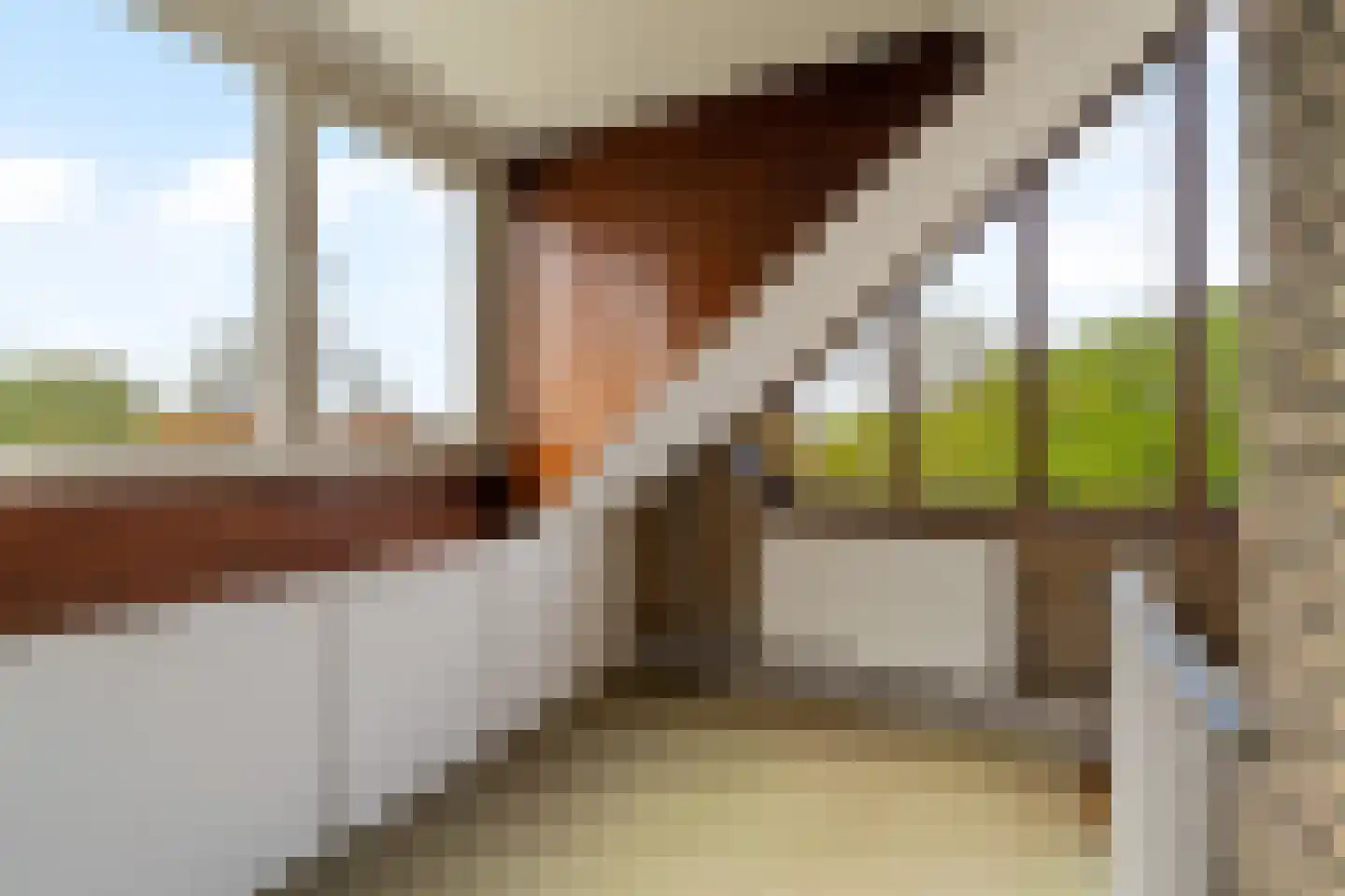 Duinwetering 13 Noordwijk thumbnail 32