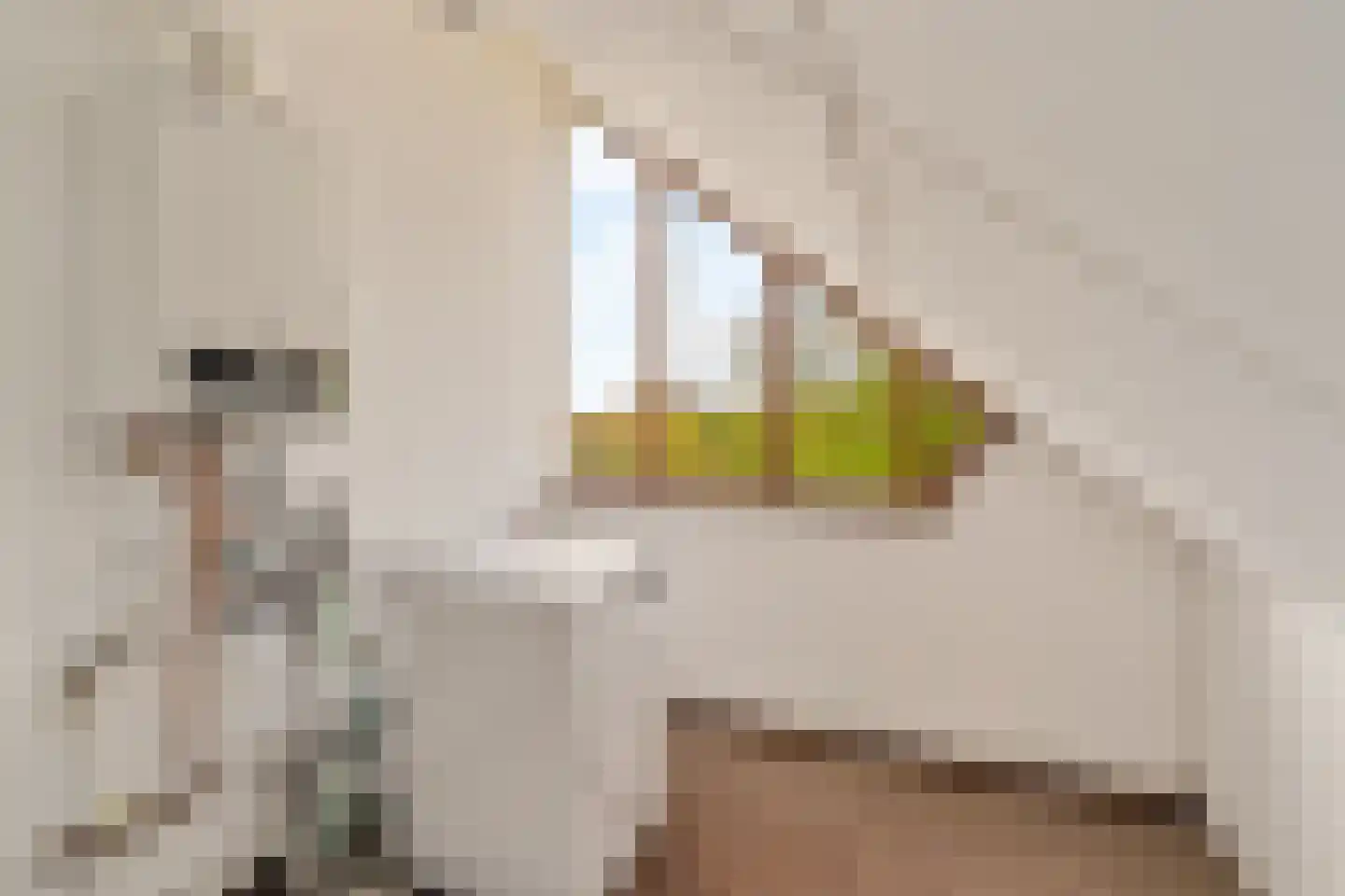 Duinwetering 13 Noordwijk thumbnail 35