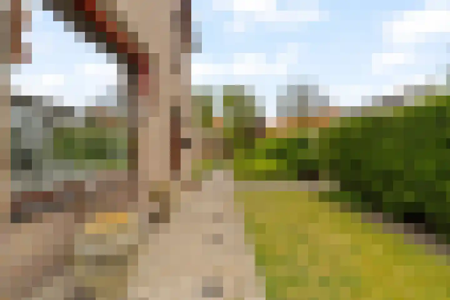 Duinwetering 13 Noordwijk thumbnail 36