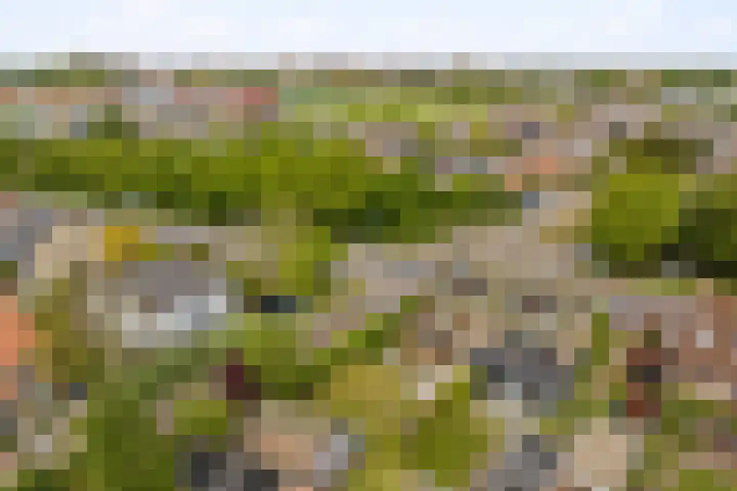 Duinwetering 13 Noordwijk thumbnail 37