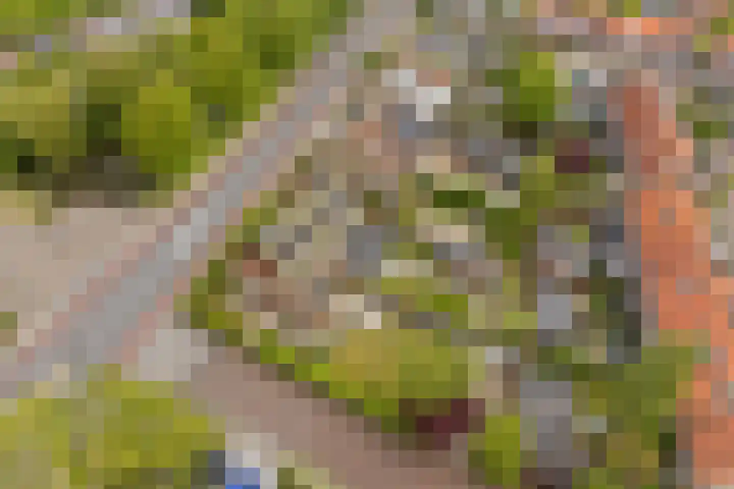 Duinwetering 13 Noordwijk thumbnail 4