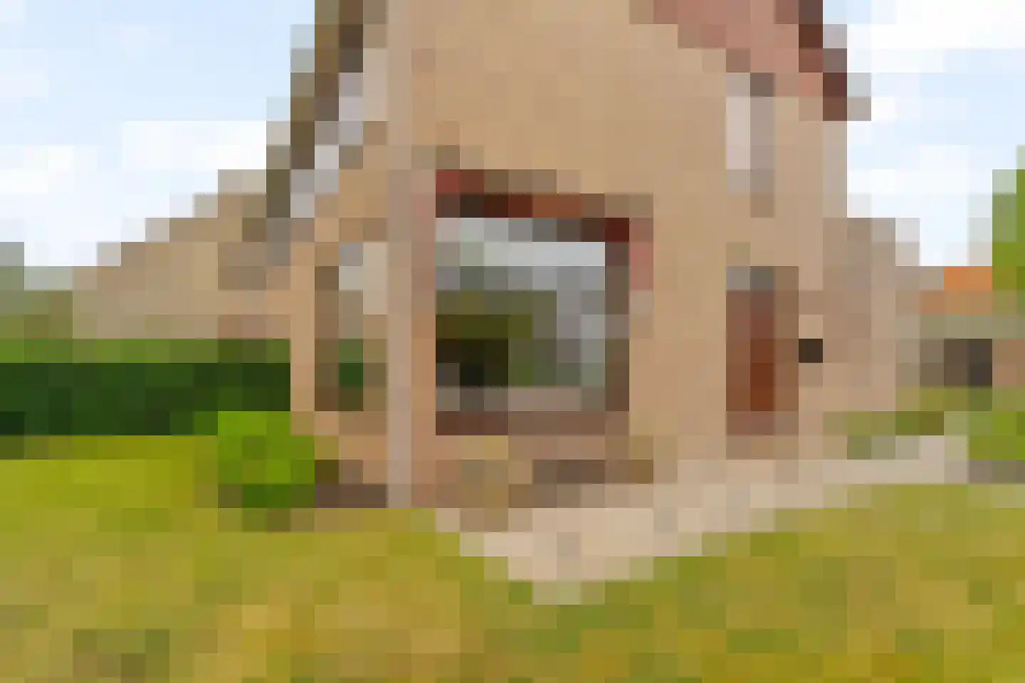 Duinwetering 13 Noordwijk thumbnail 6