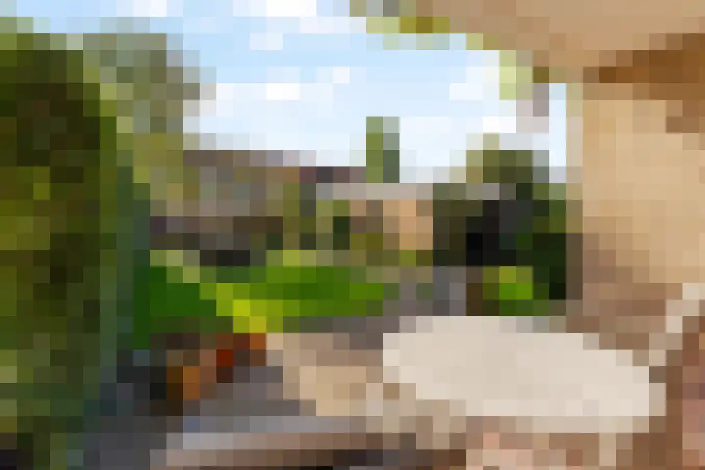 Duinwetering 15 Noordwijk thumbnail 12