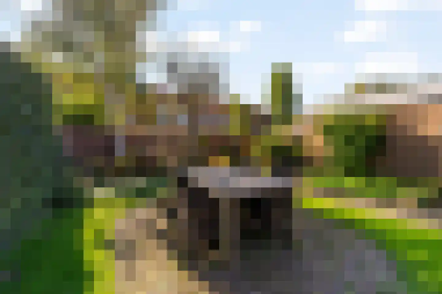 Duinwetering 15 Noordwijk thumbnail 13