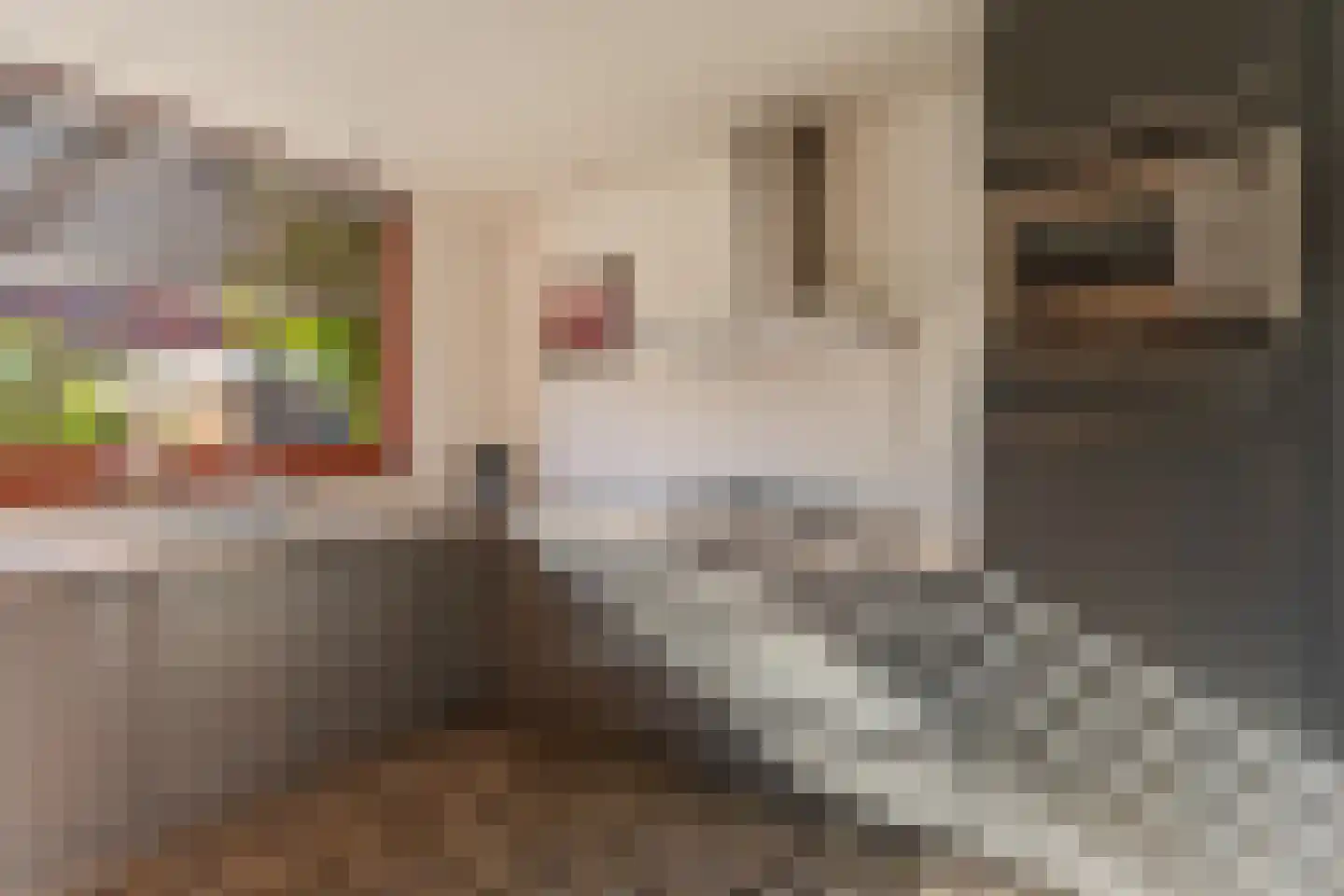 Duinwetering 15 Noordwijk thumbnail 17