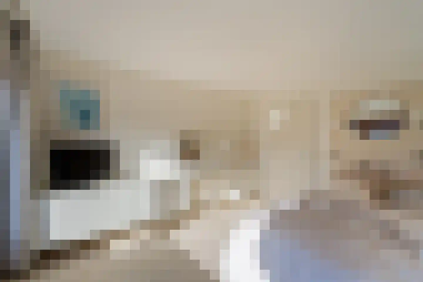 Duinwetering 15 Noordwijk thumbnail 23