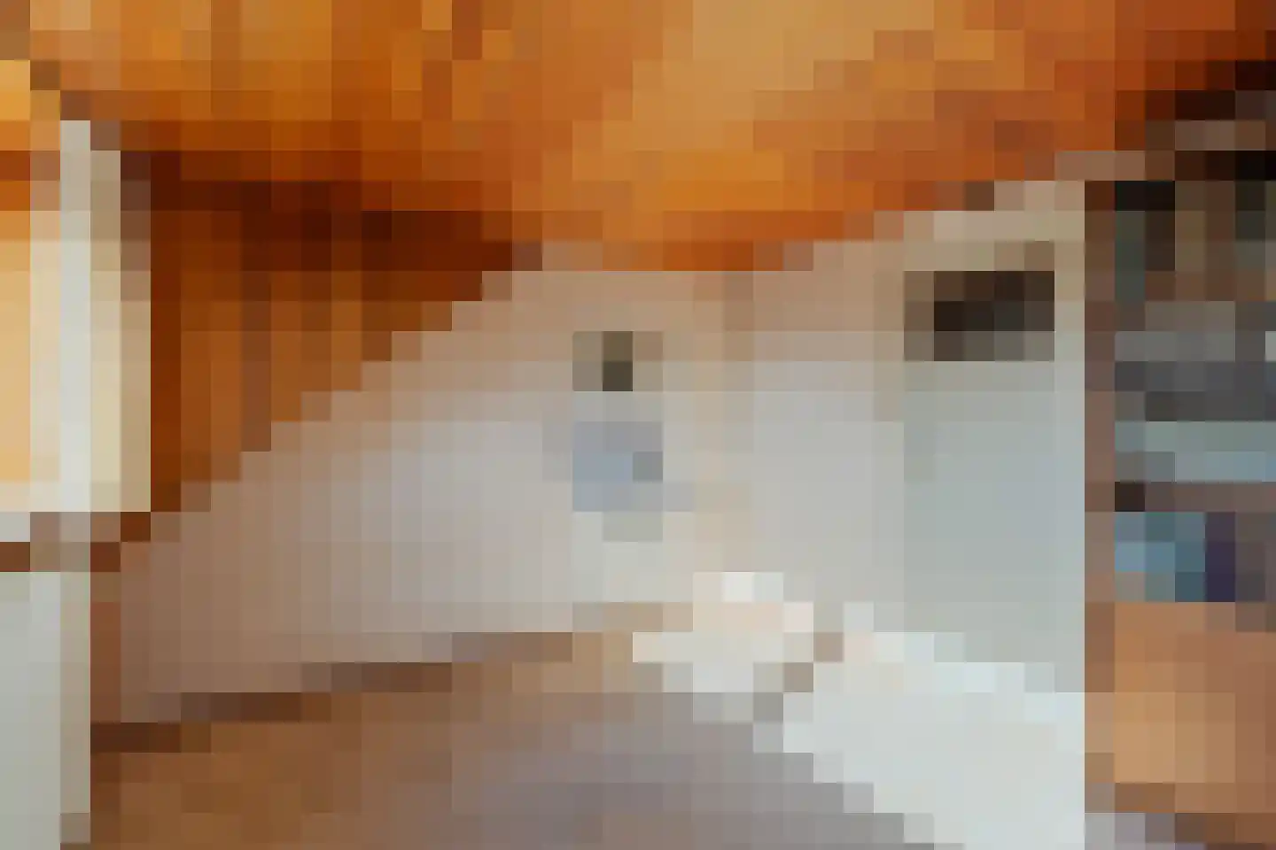 Duinwetering 15 Noordwijk thumbnail 35