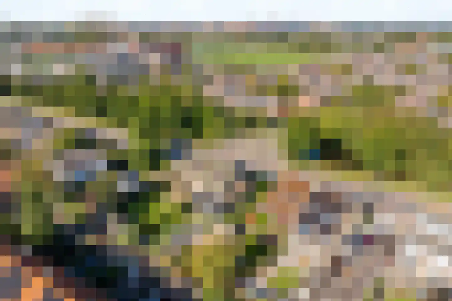 Duinwetering 15 Noordwijk thumbnail 39