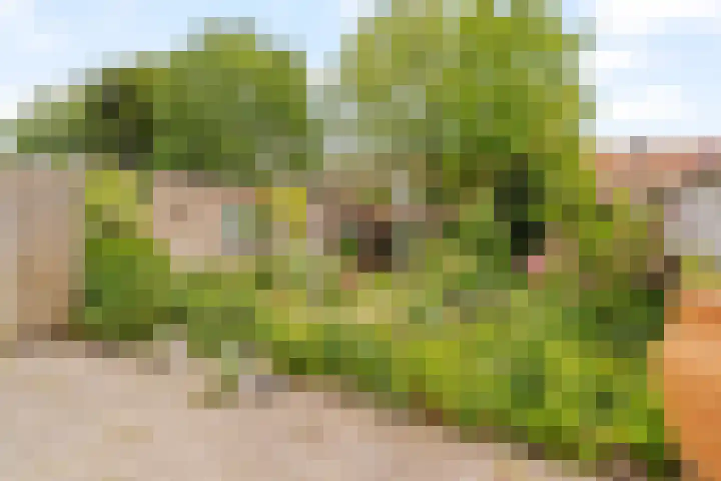 Duinwetering 18 Noordwijk thumbnail 14