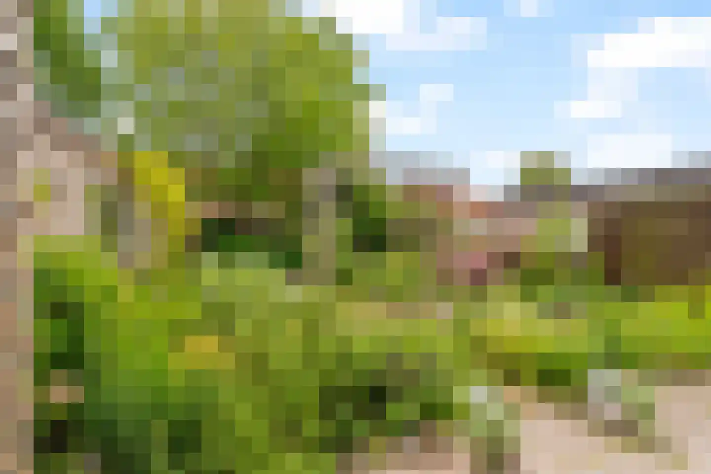 Duinwetering 18 Noordwijk thumbnail 16