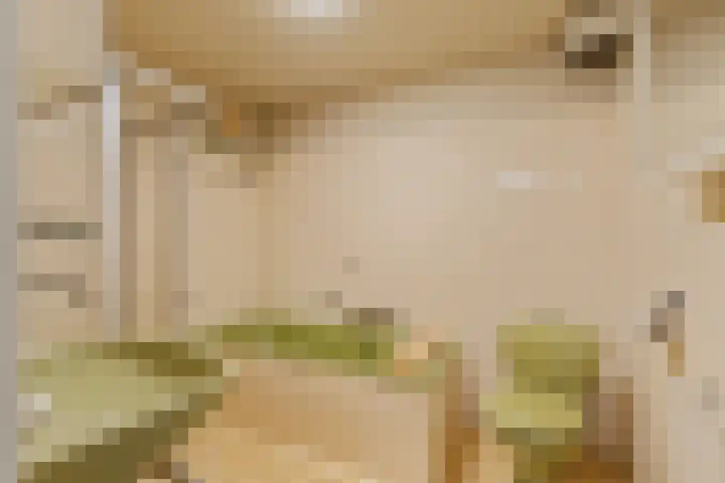 Duinwetering 18 Noordwijk thumbnail 22