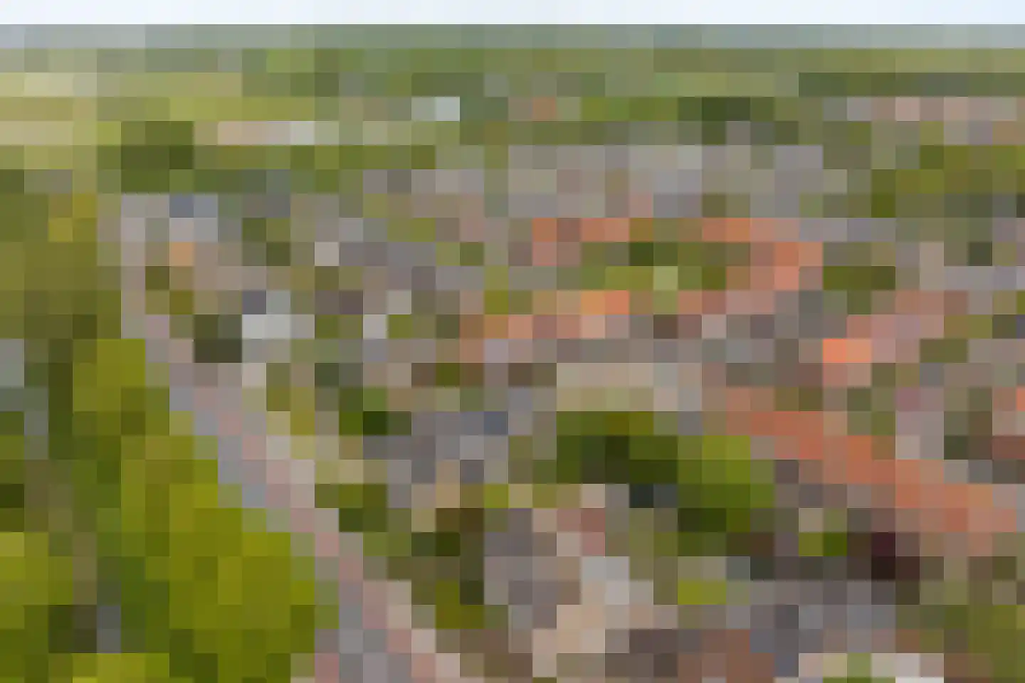 Duinwetering 18 Noordwijk thumbnail 4