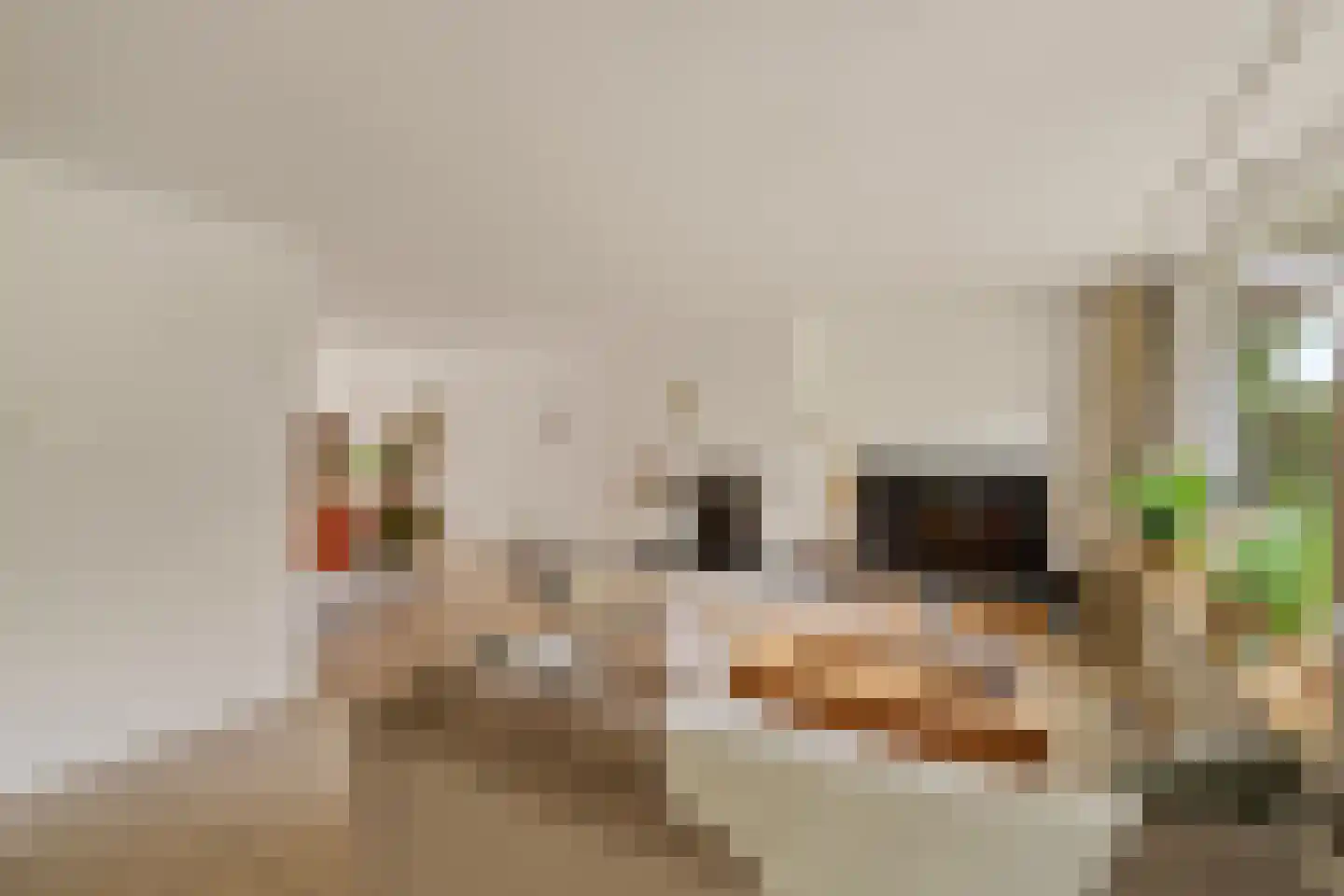 Duinwetering 18 Noordwijk thumbnail 6