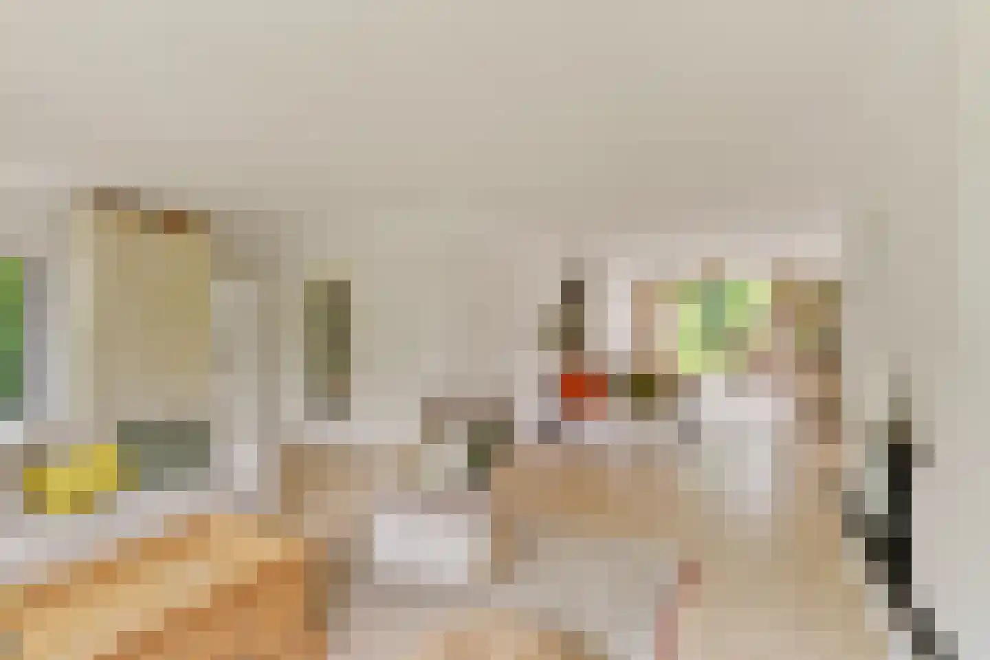 Duinwetering 18 Noordwijk thumbnail 8