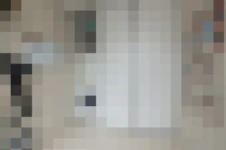 Duinwetering 22 Noordwijk thumbnail 16