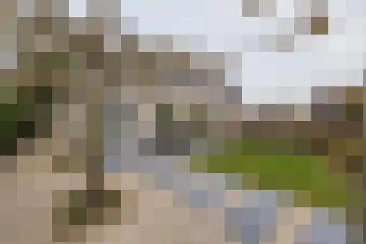Duinwetering 22 Noordwijk thumbnail 18