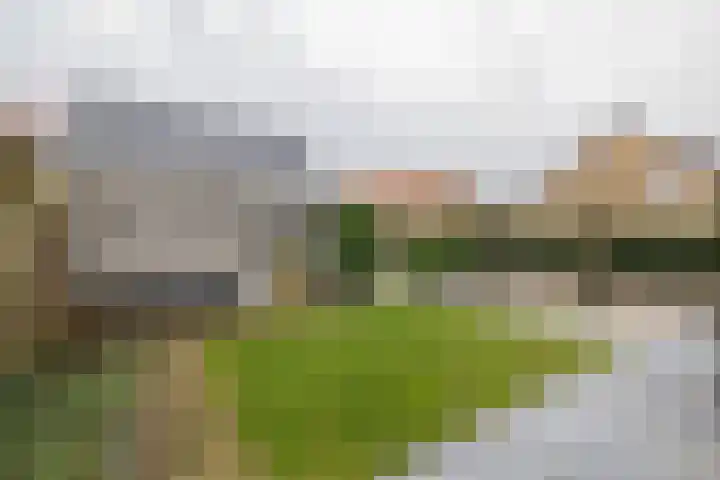 Duinwetering 22 Noordwijk thumbnail 19