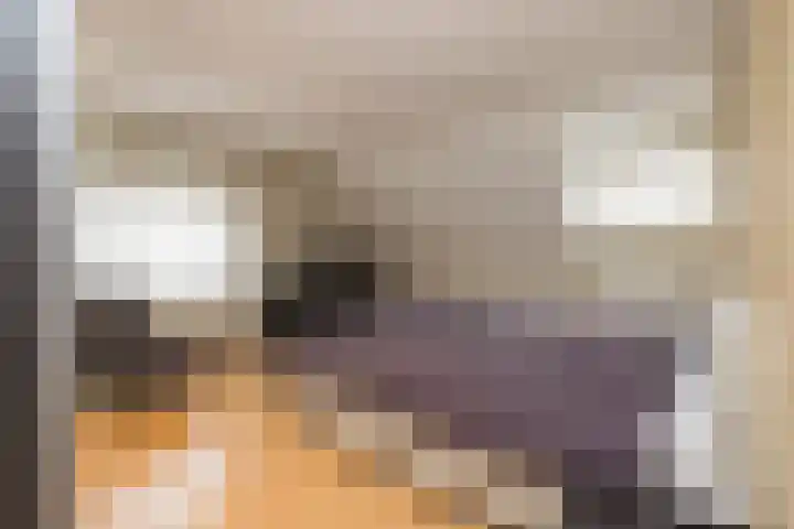 Duinwetering 22 Noordwijk thumbnail 25
