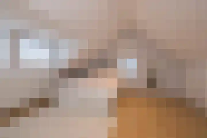 Duinwetering 22 Noordwijk thumbnail 32