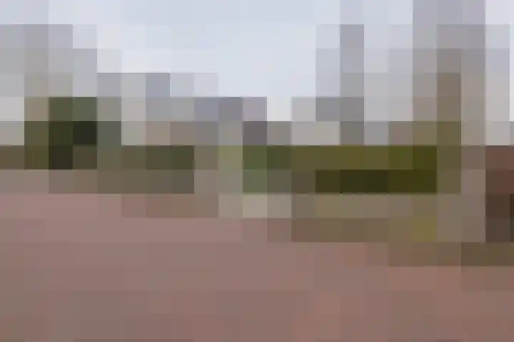 Duinwetering 22 Noordwijk thumbnail 35